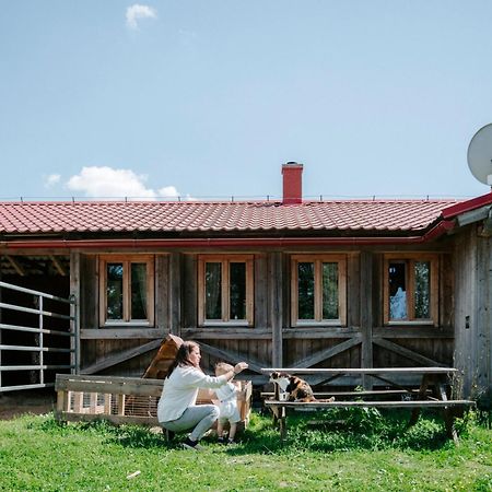Apartman Na Ranci Pod Lovosem Velemin Exterior foto